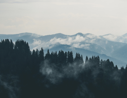 Canva Design DAGGR7RDfsU Canva Design DAGGR7RDfsU